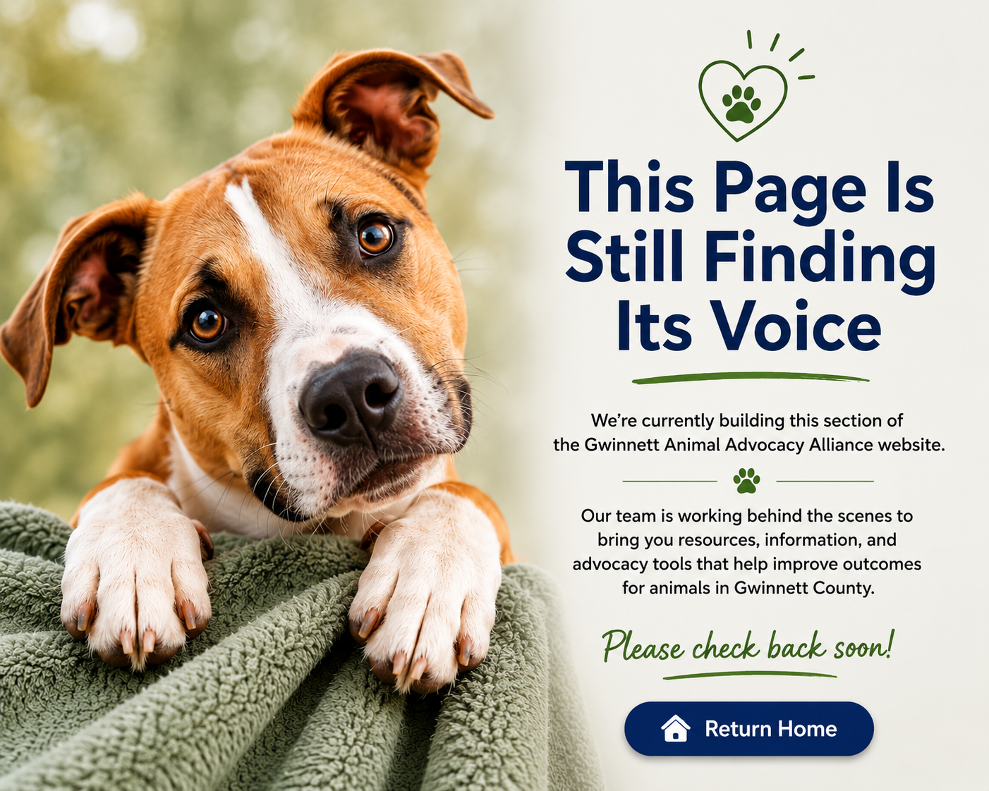 This page is still finding its voice. Click to return home.