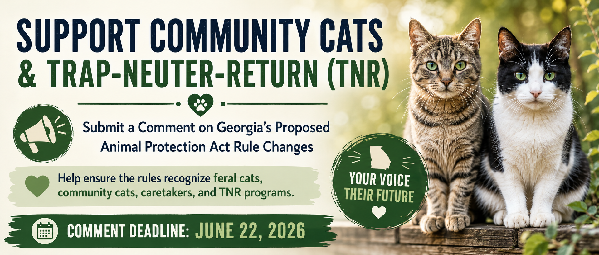 Support Community Cats and Trap-Neuter-Return Programs in Georgia